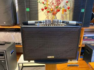 loa acnos cs3600pro cao cap