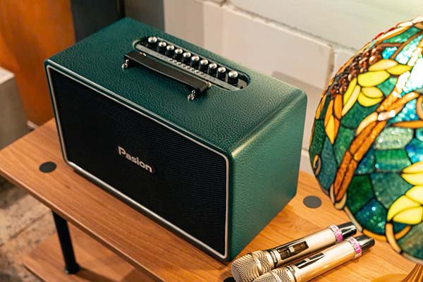 loa-xach-tay-pasion-arte-1