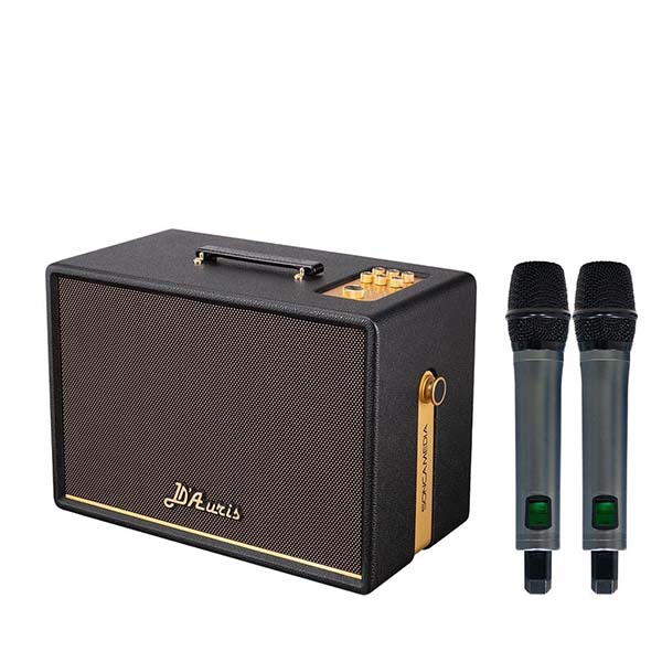 ben phai loa acnos d auris 300