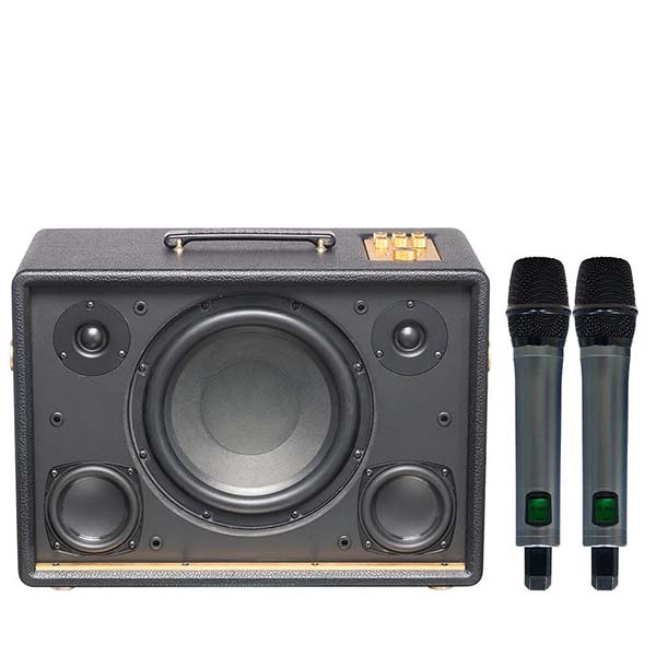 loa-acnos-d’auris-300-phuong-lam-audio-3