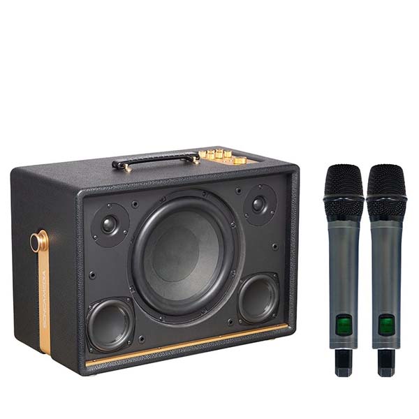 loa xach tay acnos d auris 300 cao cap