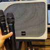 loa-karaoke-paramax-evox-max-7