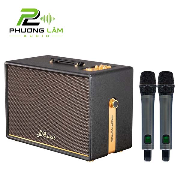 ben phai loa karaoke acnos d'auris 500